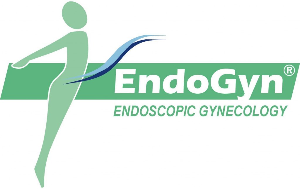 The new EndoGyn Website